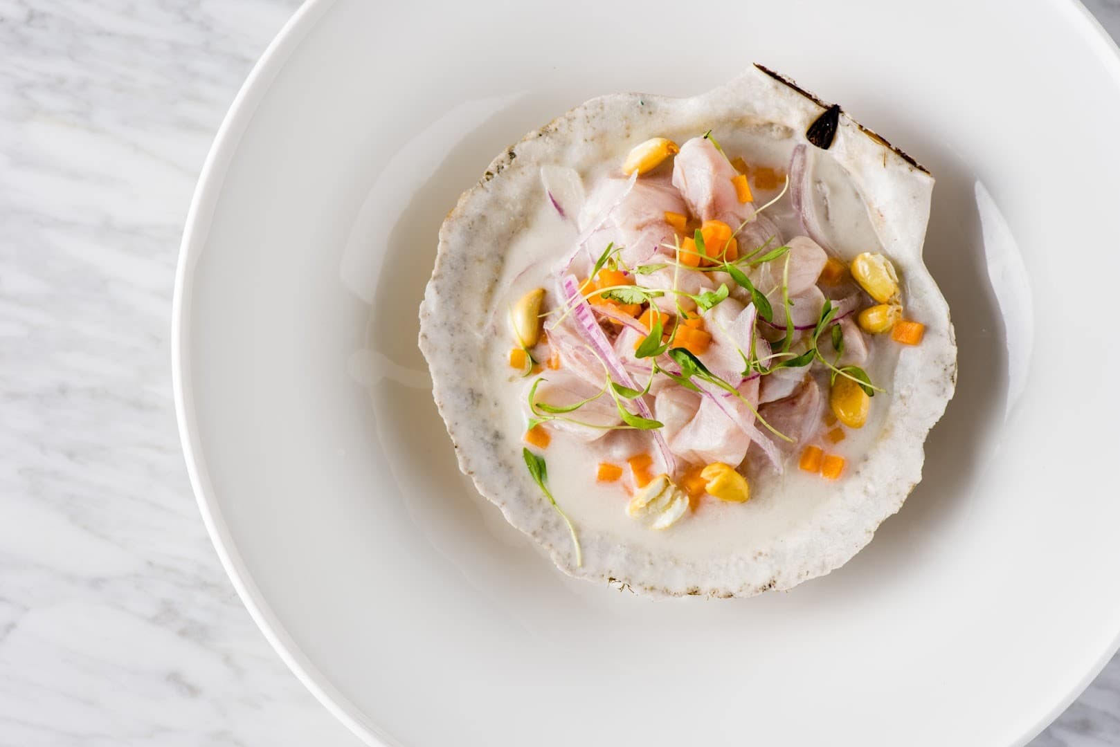 Ceviche dish at Isabelle’s Coconut Grove in Miami