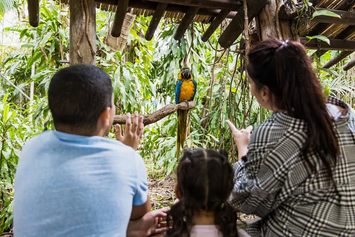Bird display at Jungle Island in Miami