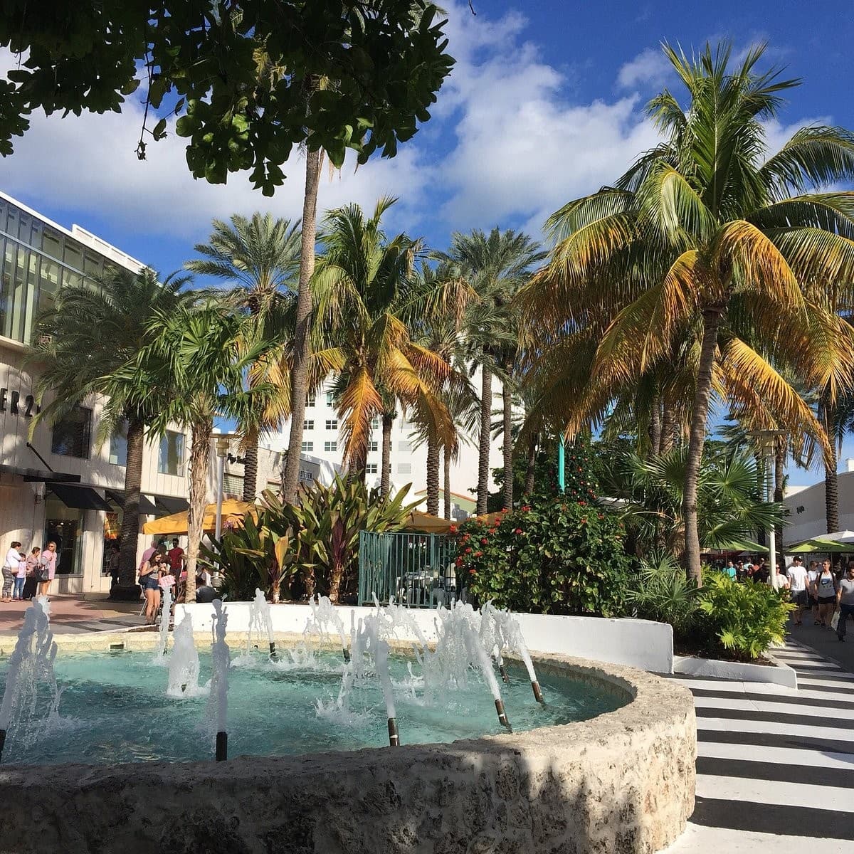 Lincoln Road Shopping District in Miami with palm trees