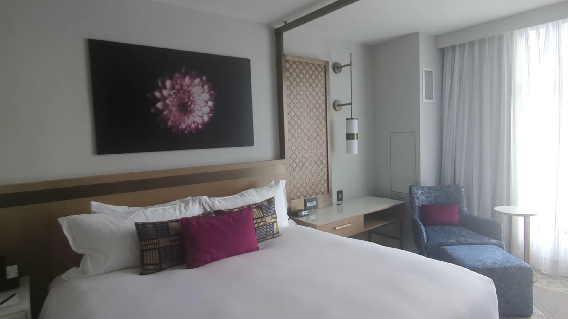 Loews Coral Gables Hotel room interior