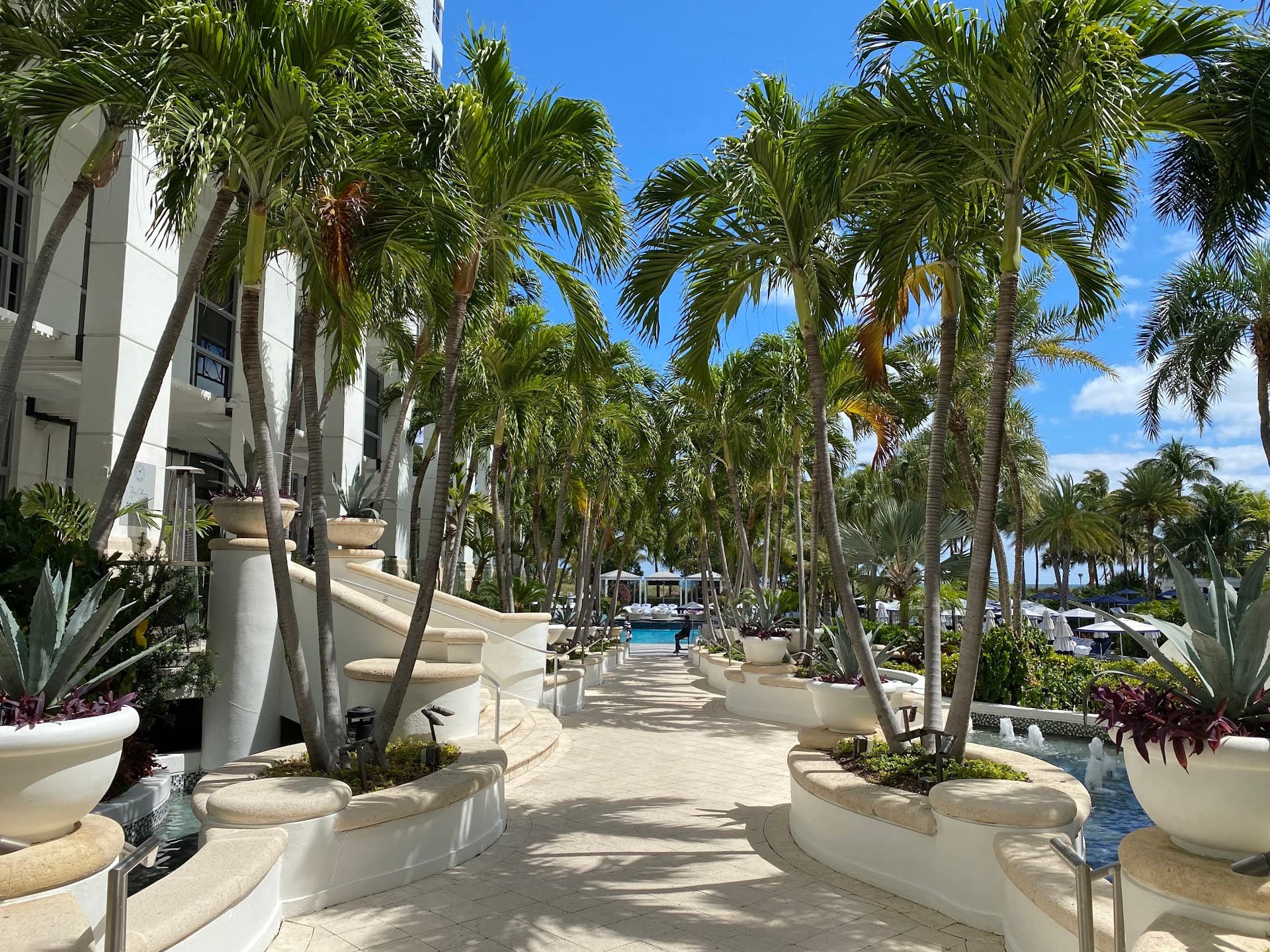 Loews Miami Beach Hotel garden pathway