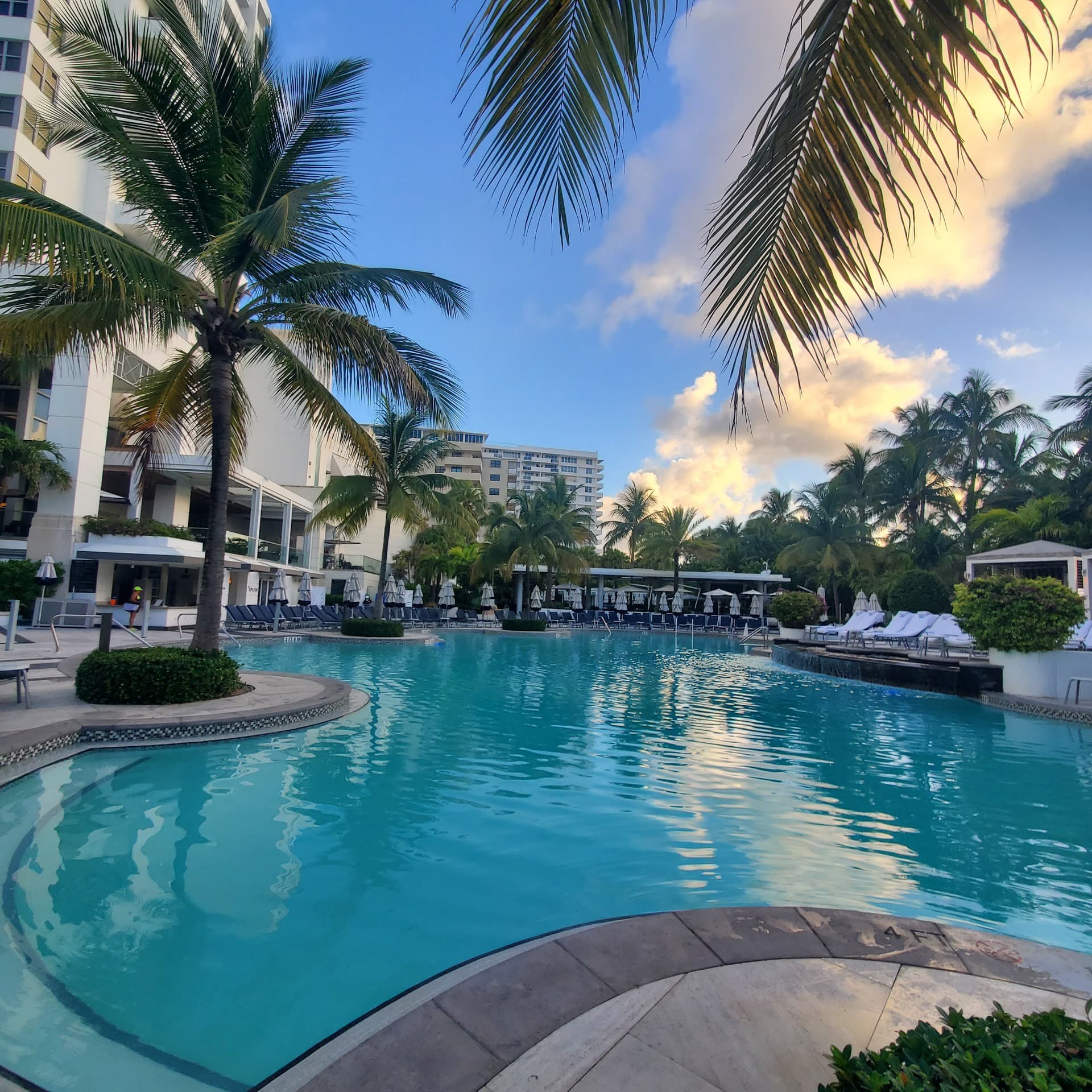 Loews Miami Beach Hotel pool area in Miami Beach