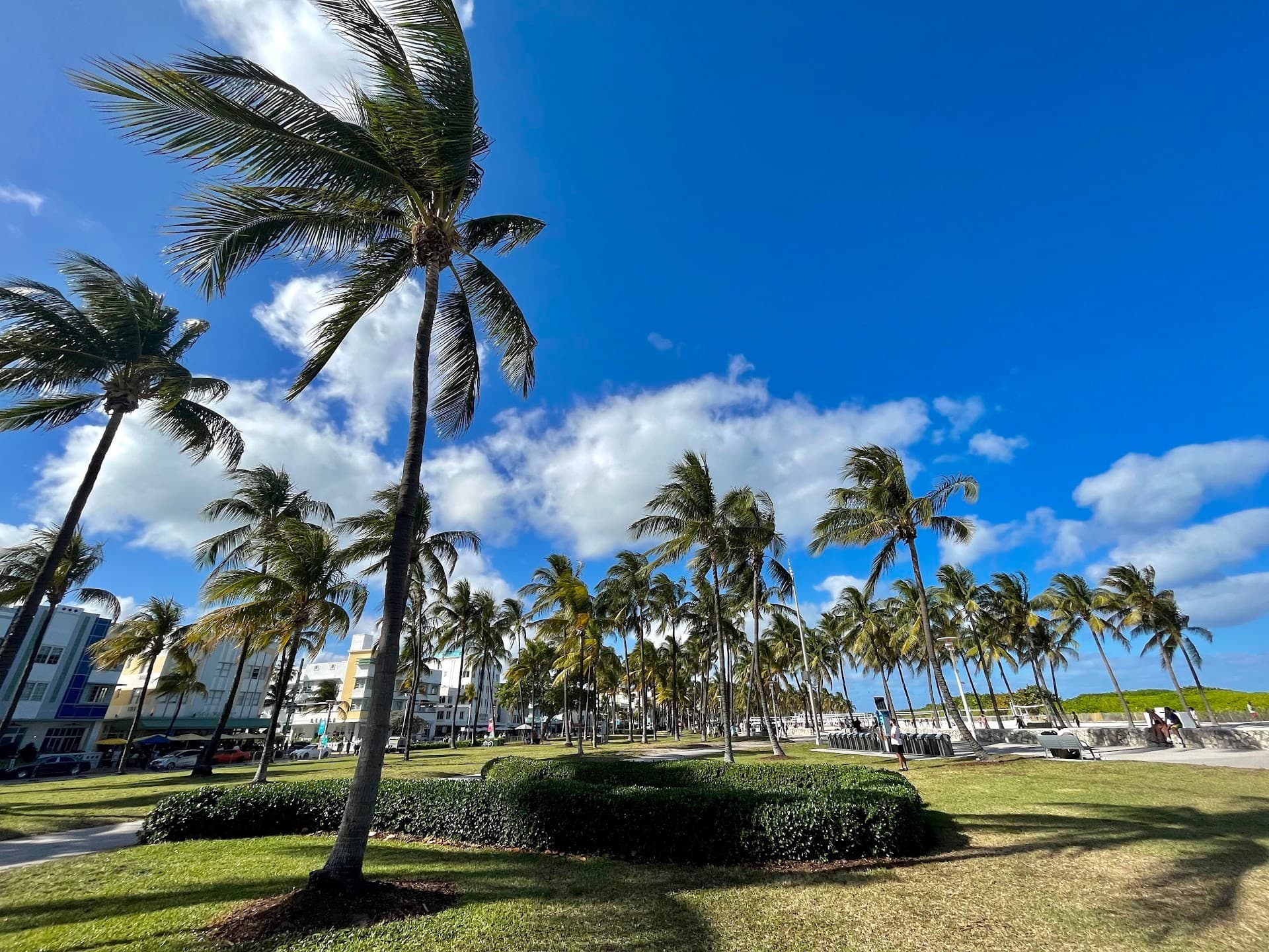 Lummus Park attraction in Miami Beach, palm trees and blue sky