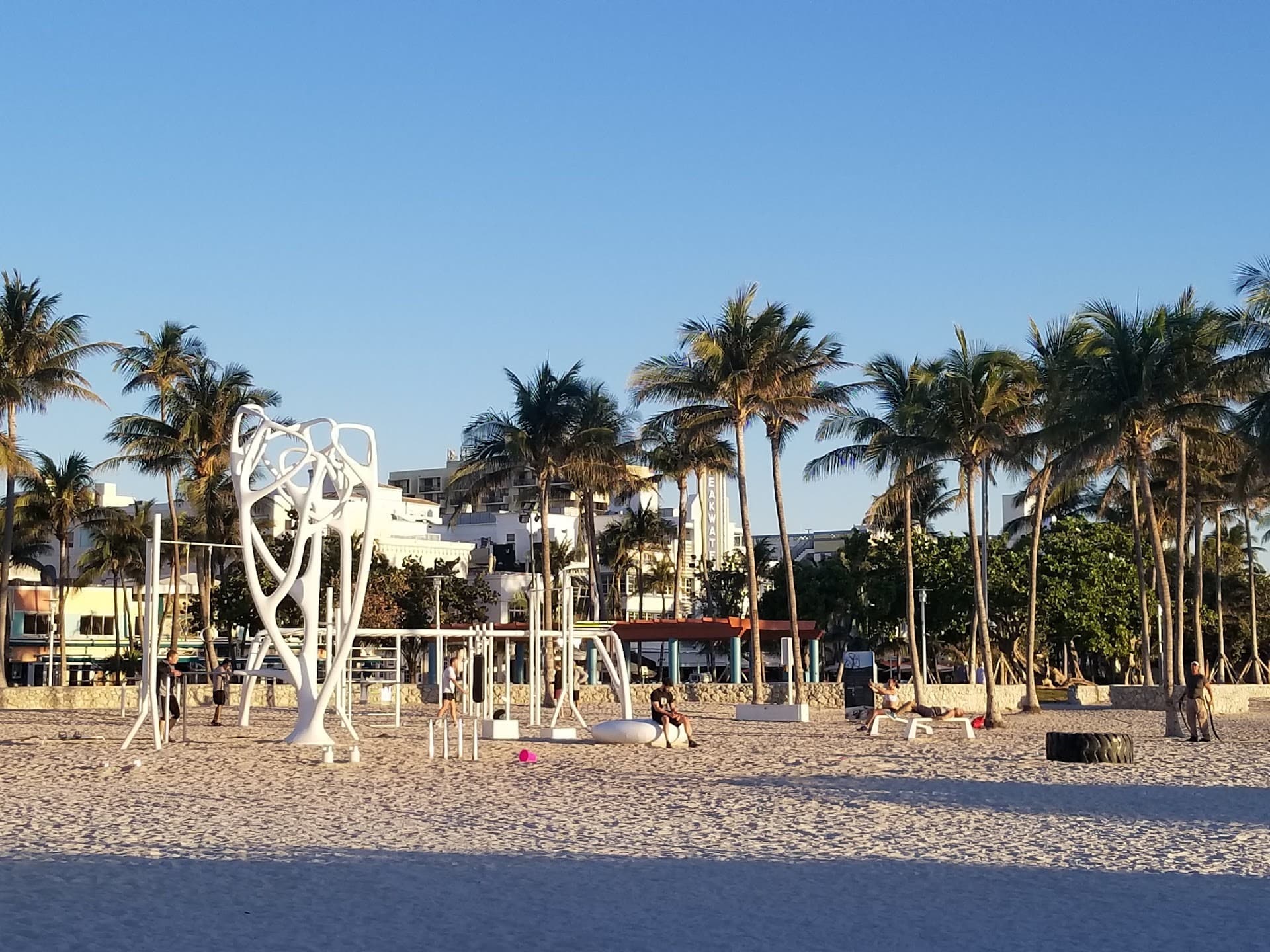 Lummus Park beachfront in Miami Beach with palm trees