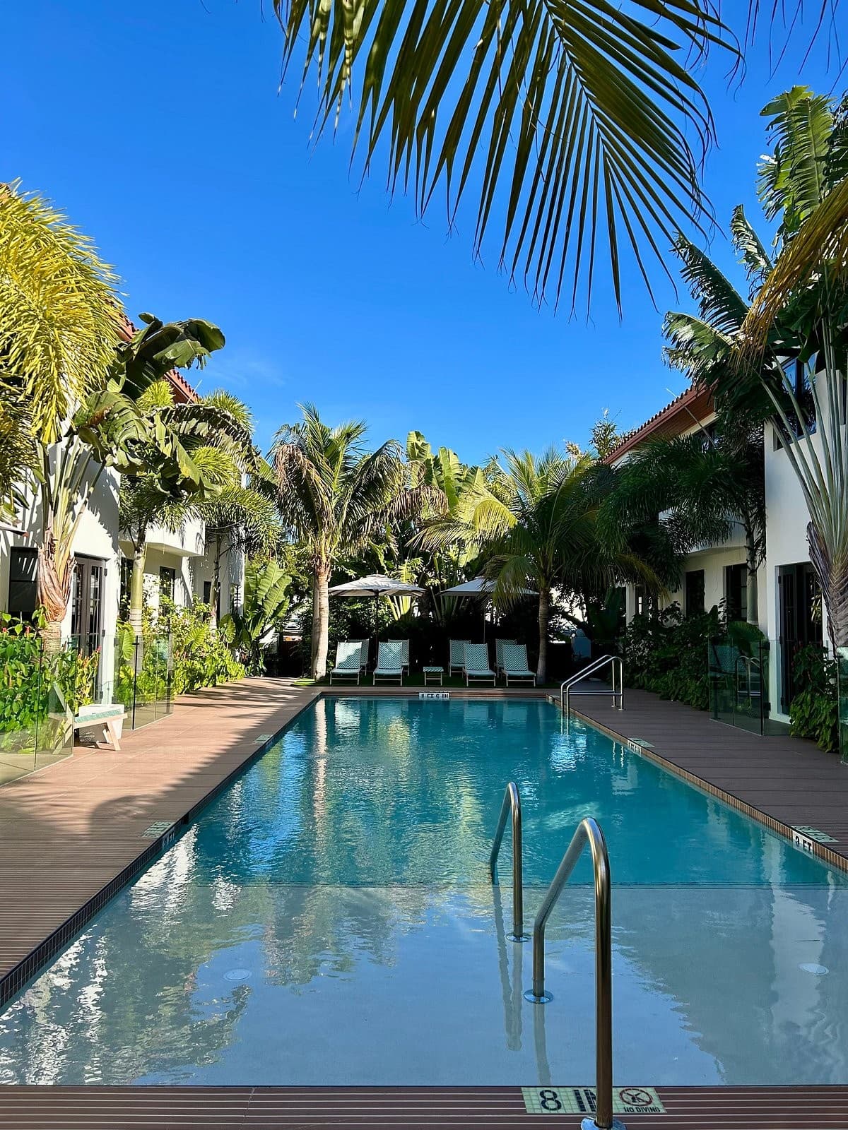 Maison Felix hotel pool area in Miami Beach