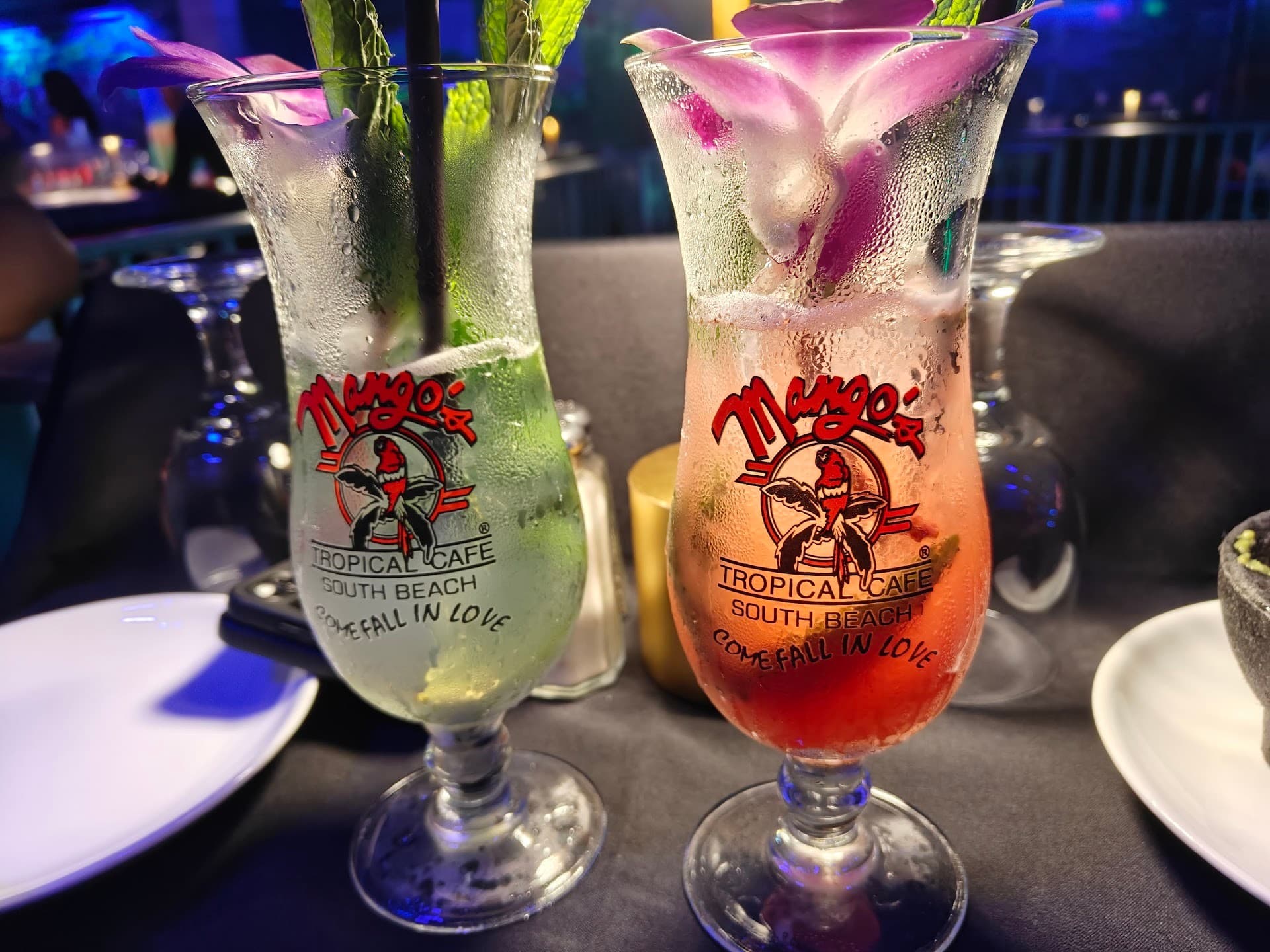 Two cocktails from Mango's Tropical Cafe in Miami Beach