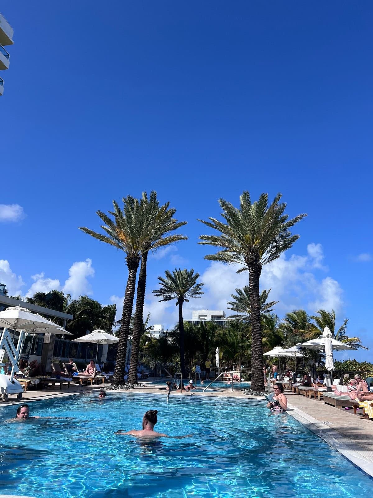 Swimming pool at Marriott Stanton South Beach, Miami Beach