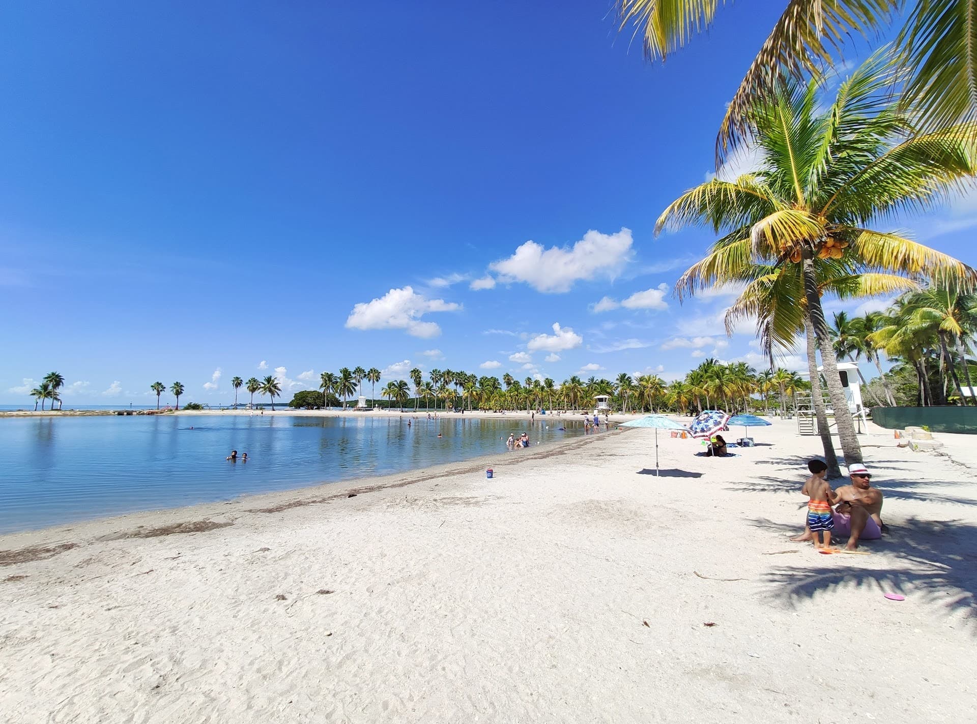 Matheson Hammock Park & Marina beach view in Coral Gables