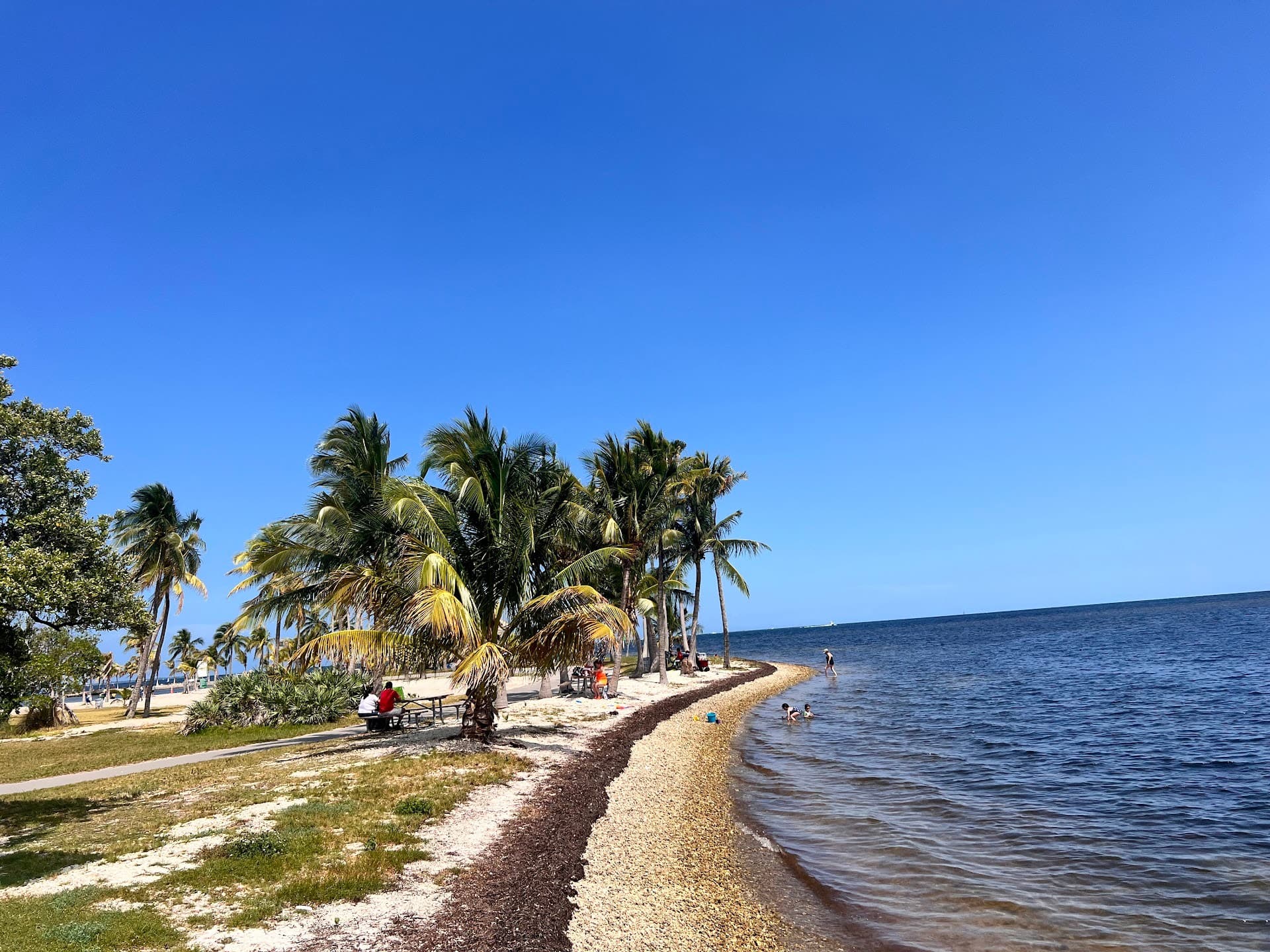 Matheson Hammock Park & Marina exterior view in Coral Gables