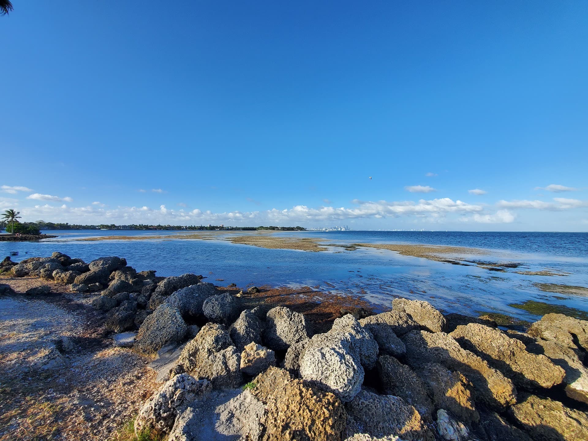 Matheson Hammock Park & Marina Coral Gables scenic view