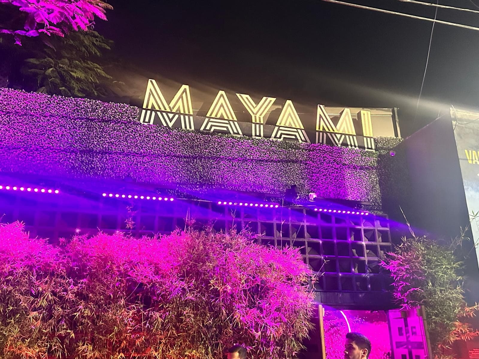 Exterior view of Mayami Wynwood at night in Miami