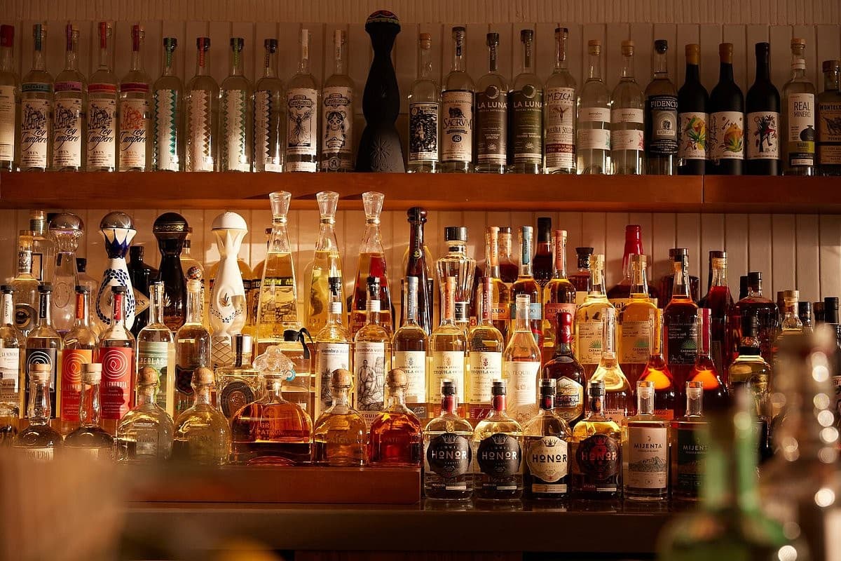 Bar scene at Mayfair Grill in Miami
