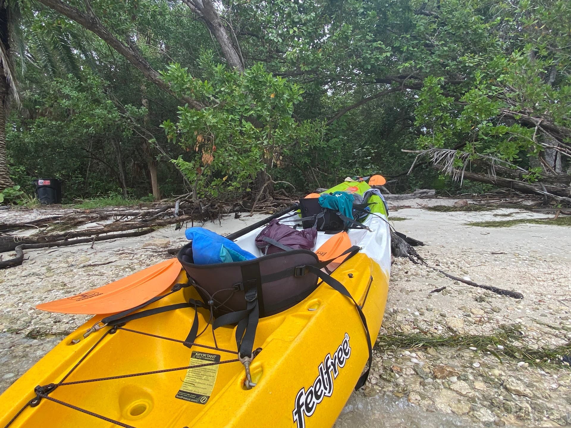 Kayaking at MB Kayak & Paddleboard Rentals, 1300 Collins Ave