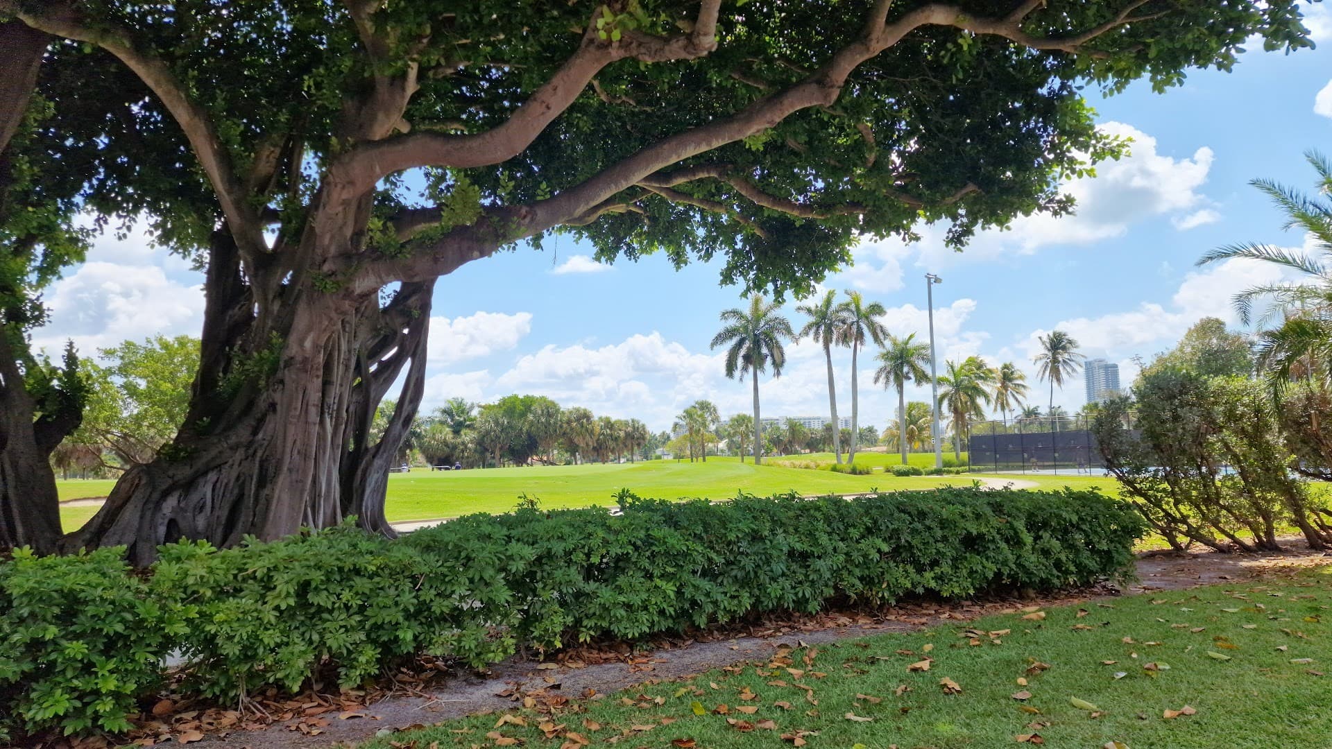 Miami Beach Golf Club exterior view with palm trees