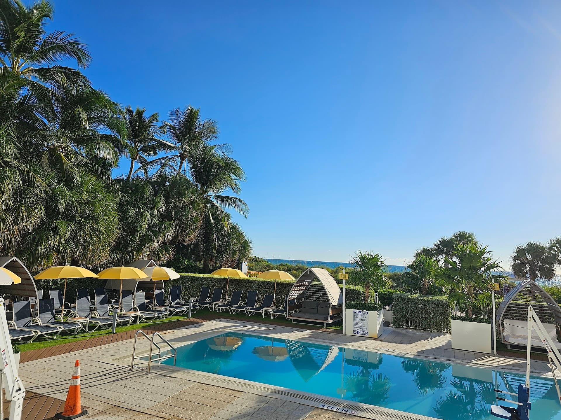 Pool area at Miami International Airport Hotel with palm trees.