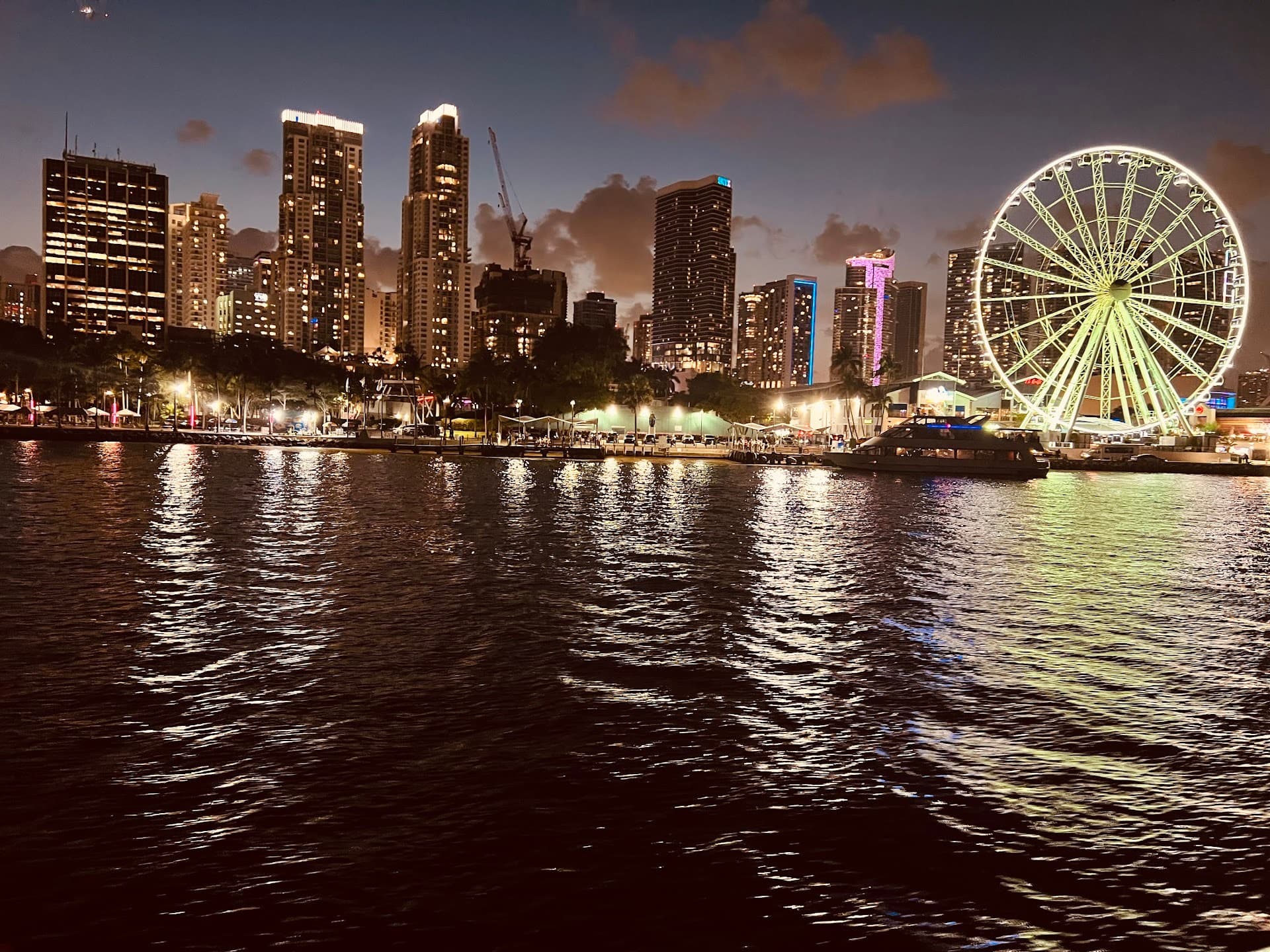 Miami Skyline Cruises waterfront views at night