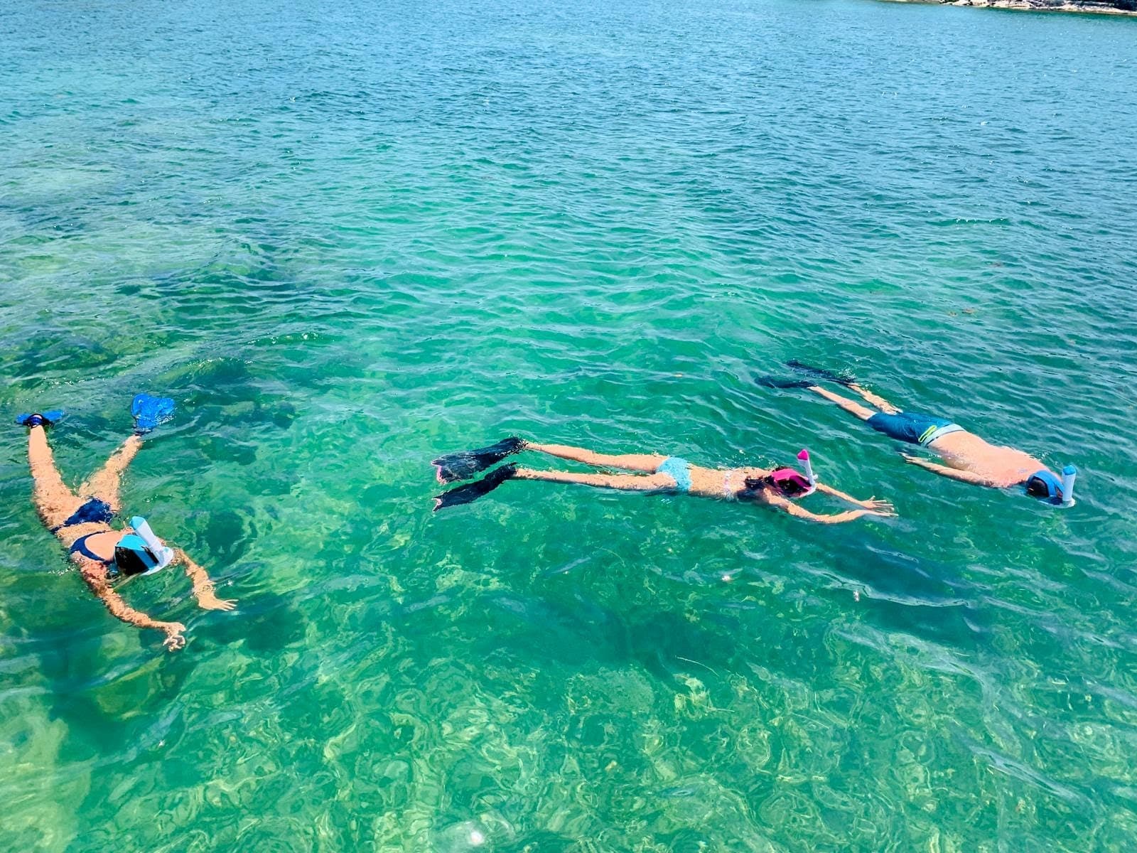 Snorkeling at Miami Tours And Water Adventures, Miami Beach