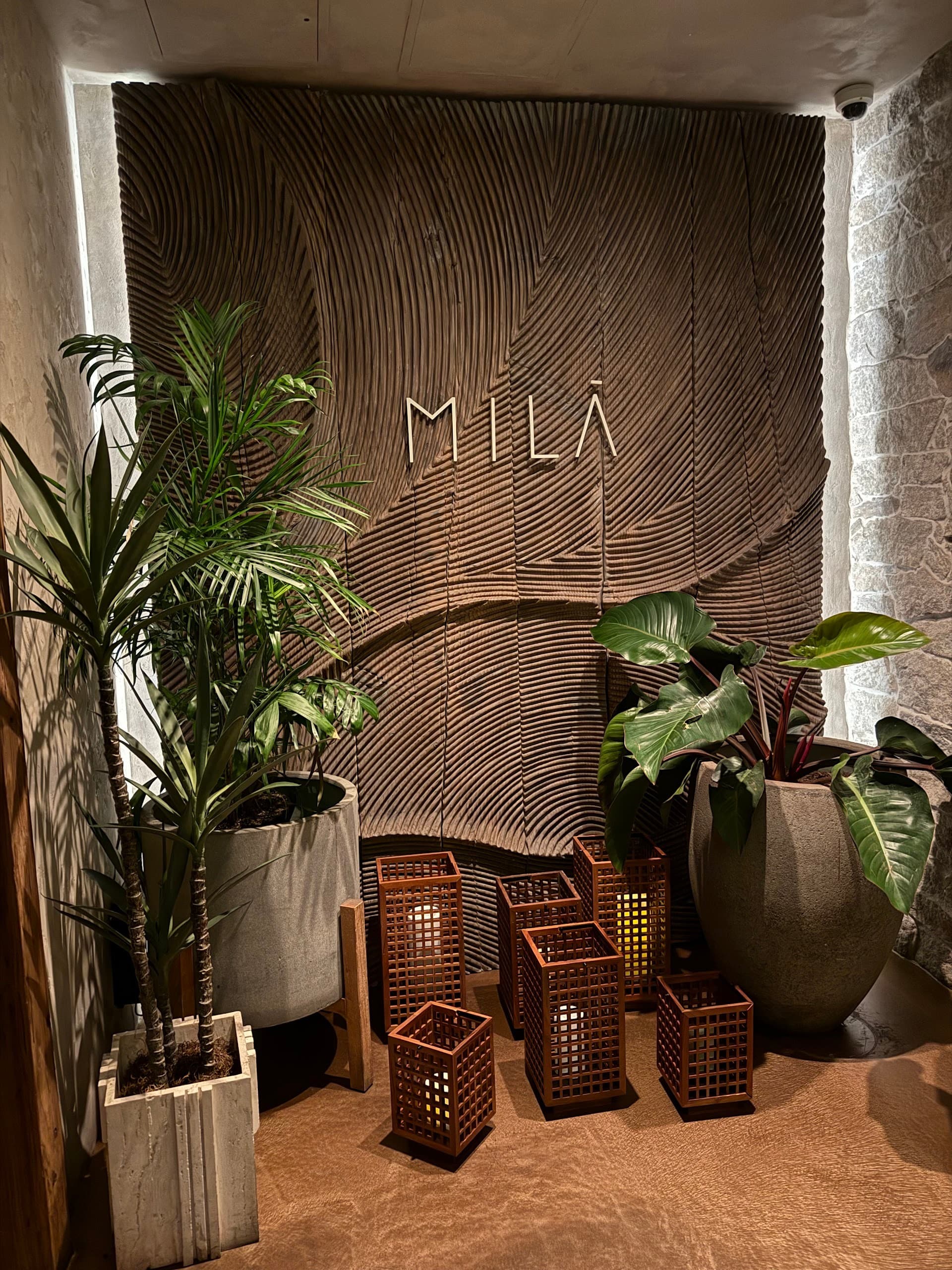 MILA restaurant interior in Miami Beach