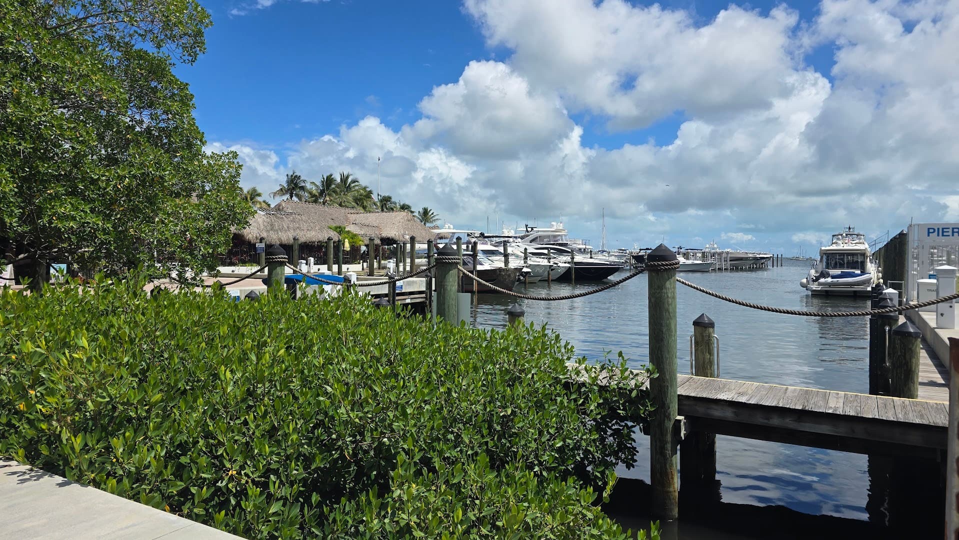 Monty's Coconut Grove waterfront view in Miami