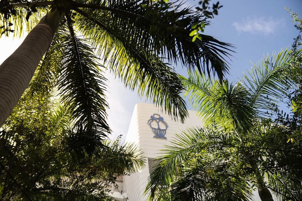 Mr. C Miami exterior view amid palm trees in Coconut Grove