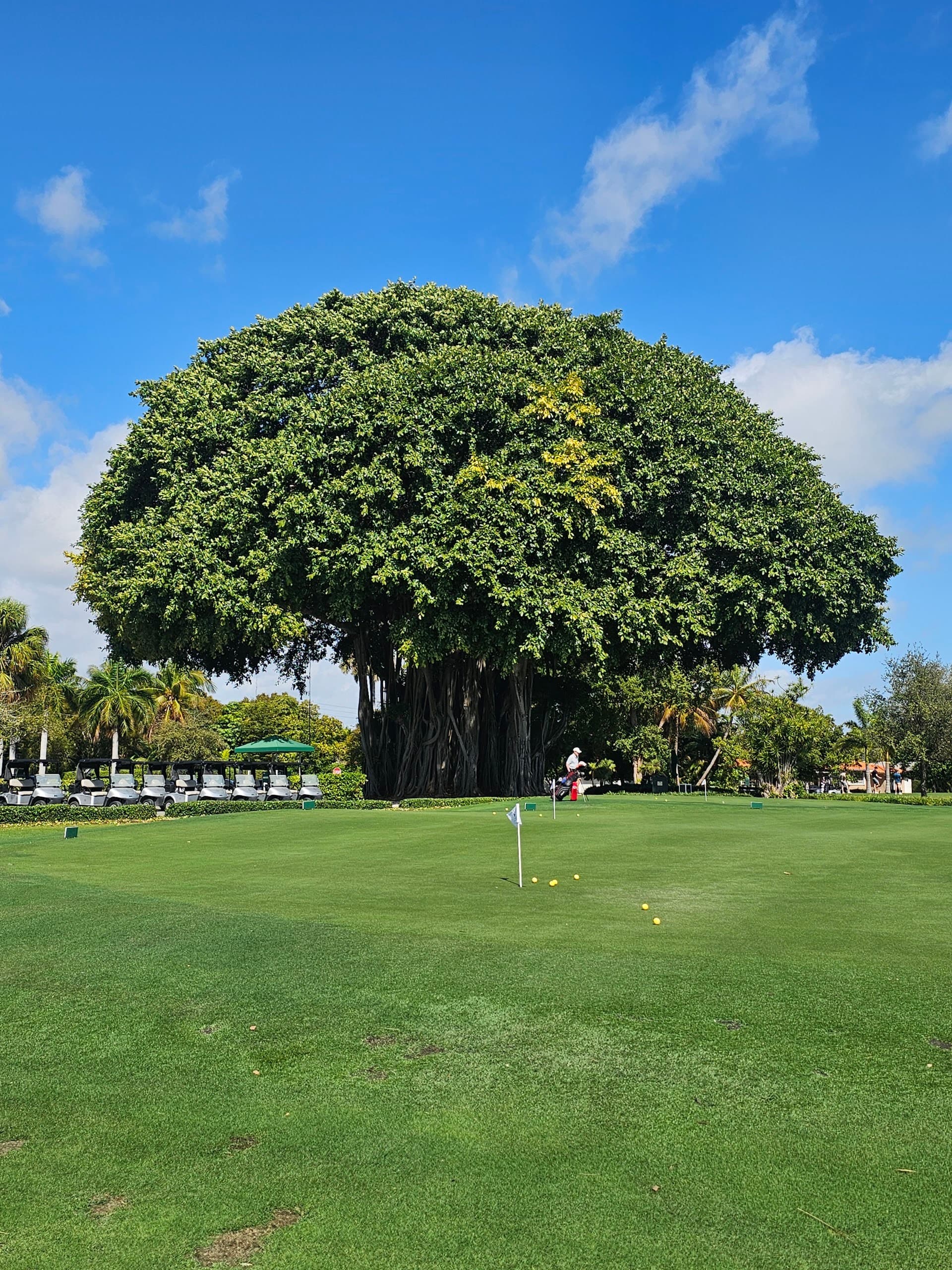 Normandy Shores Golf Course in Miami Beach