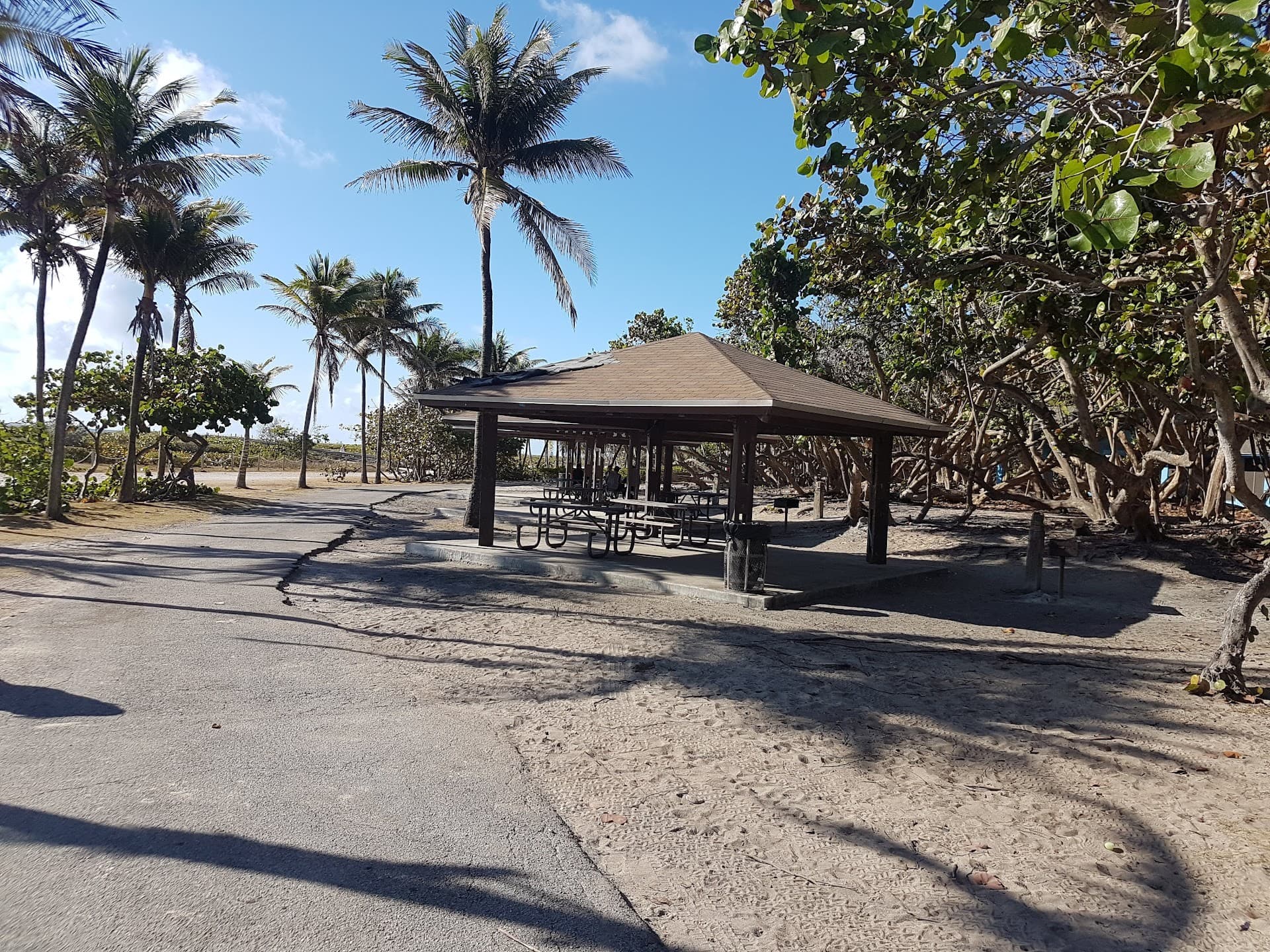 North Beach Oceanside Park in Miami Beach with palm trees