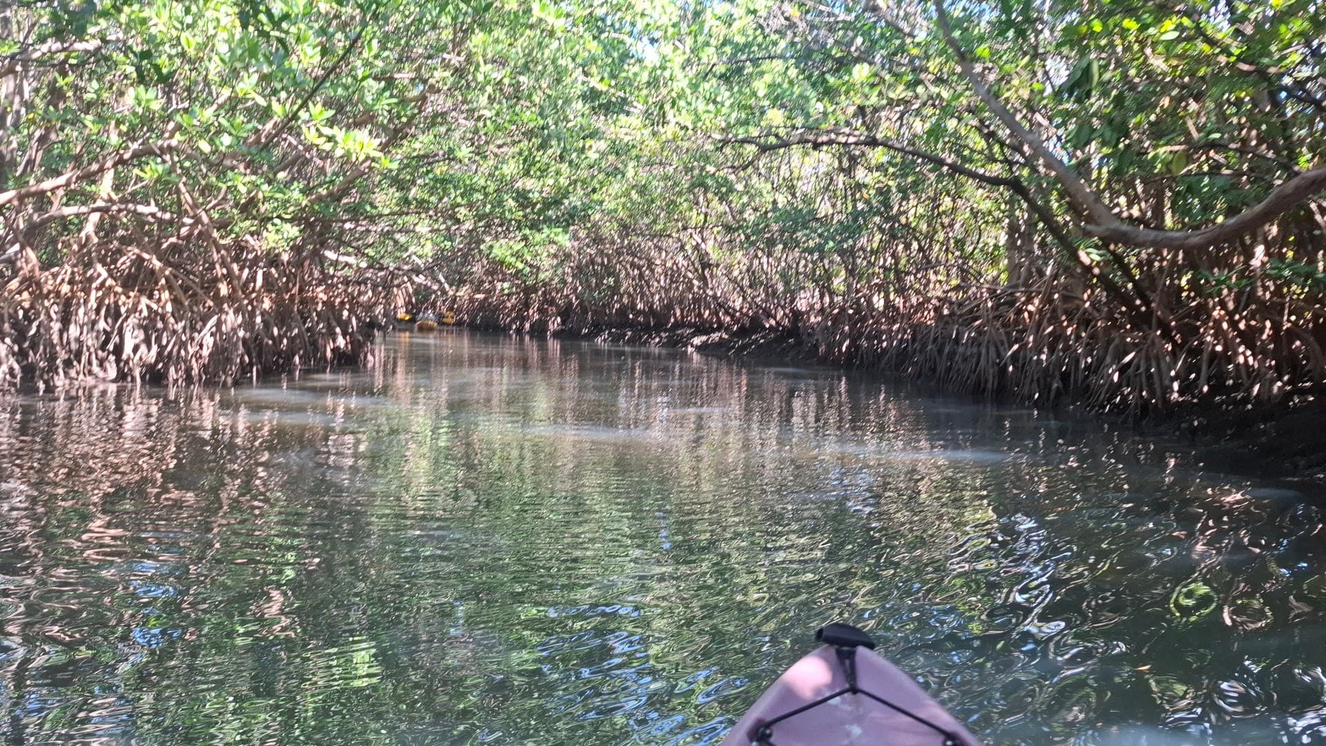 Kayaking at Oleta River Outdoor Center in North Miami Beach