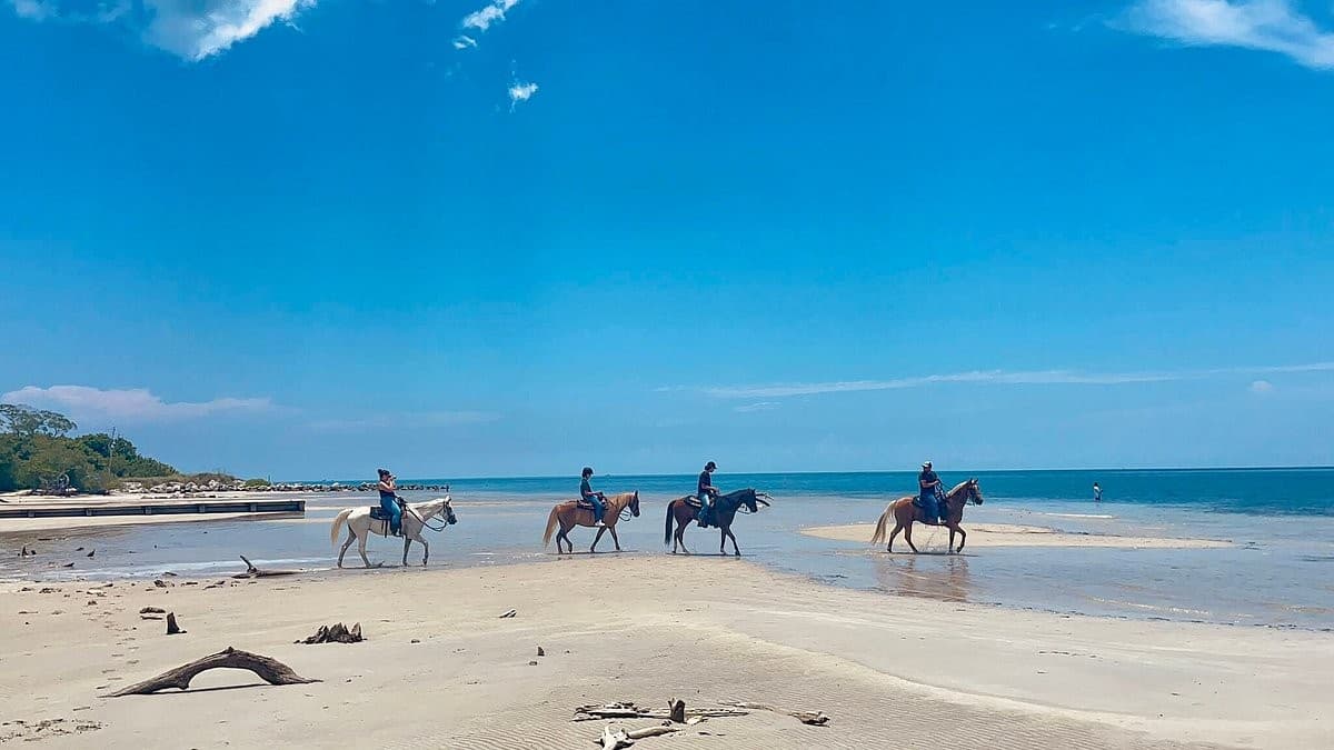 Horseback riding at Palomino Ranch in Miami