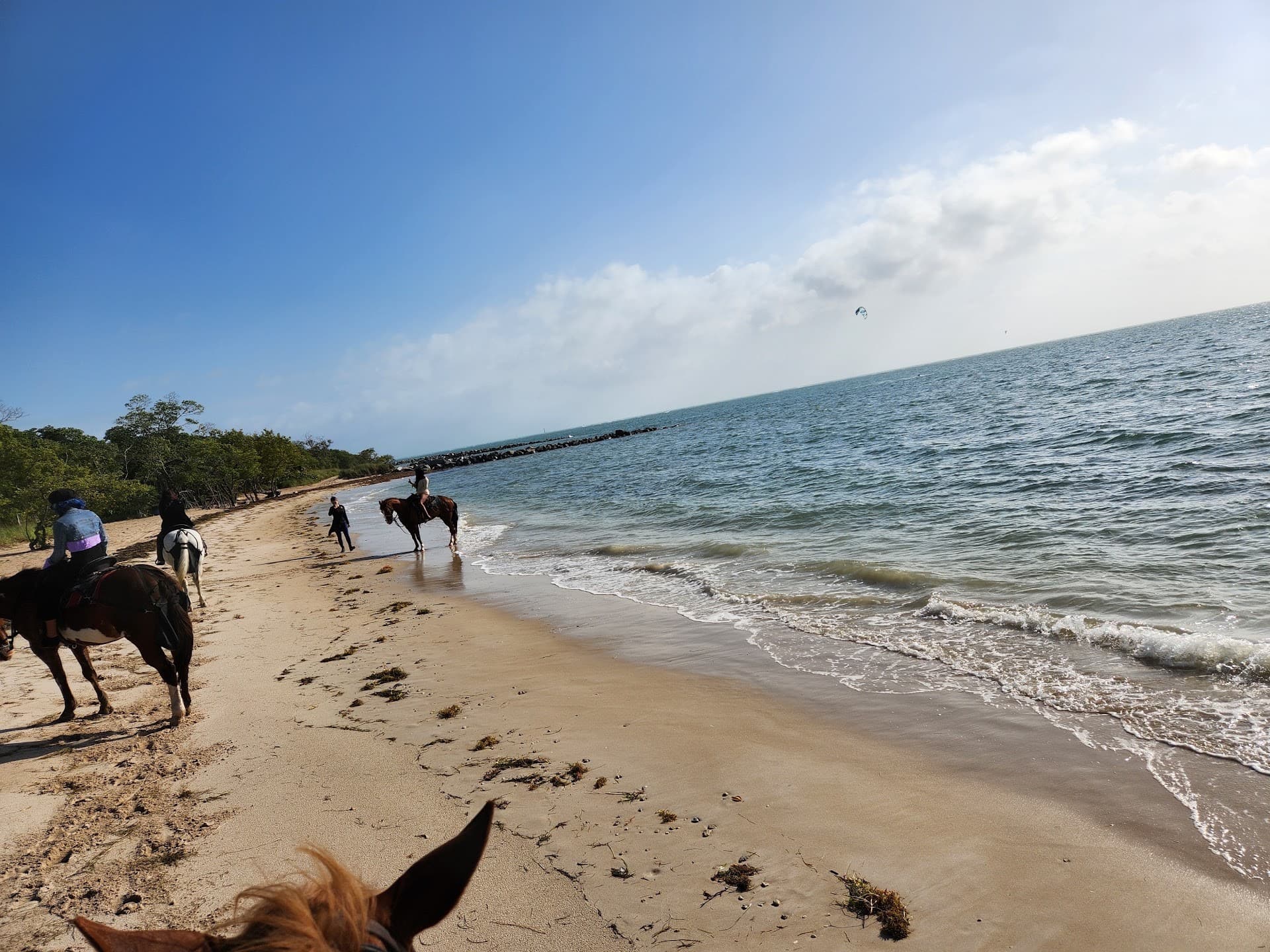 Palomino Ranch beach view in Miami