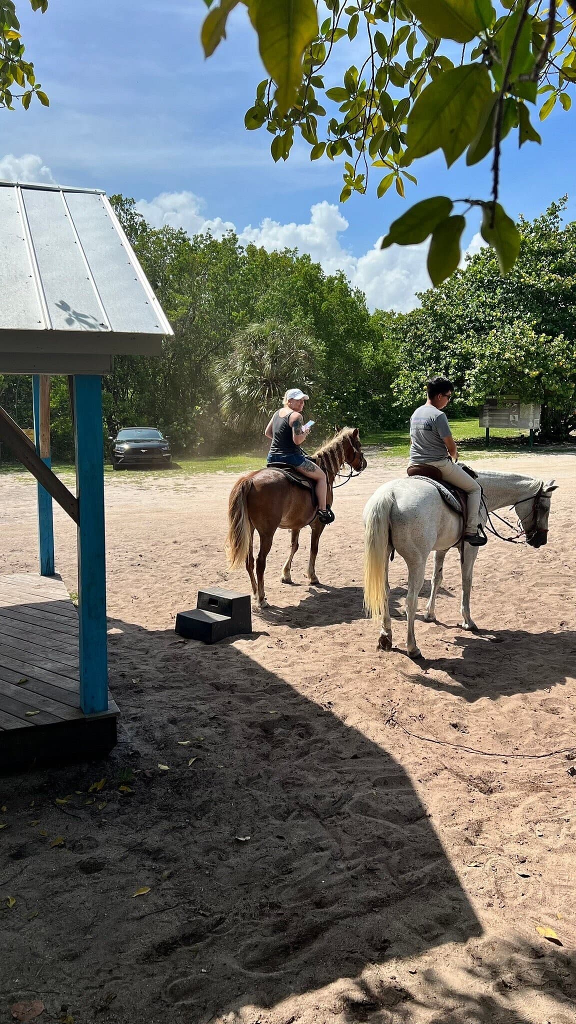 Horseback riding at Palomino Ranch in Miami