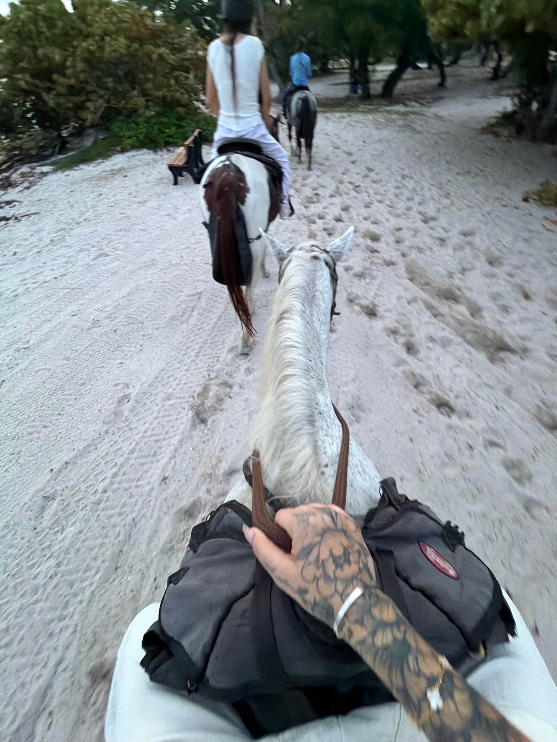 Horseback riding at Palomino Ranch in Miami