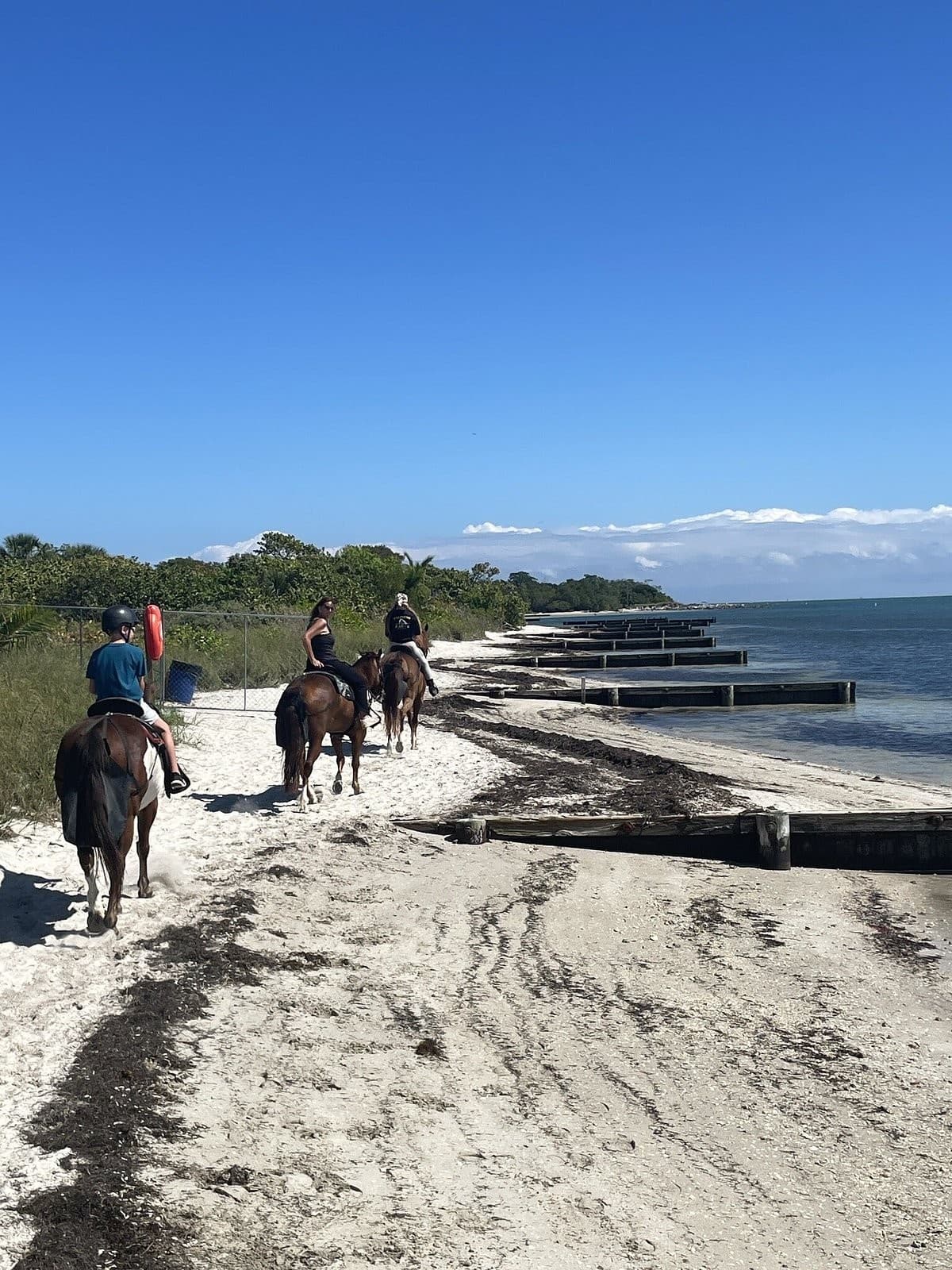 Horseback riding at Palomino Ranch in Miami