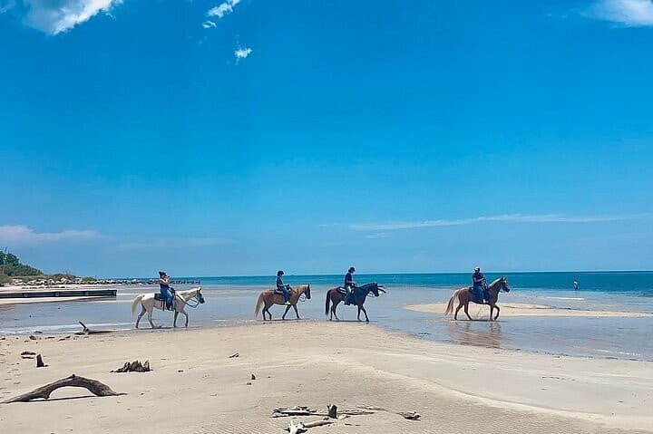 Horseback riding at Palomino Ranch in Miami