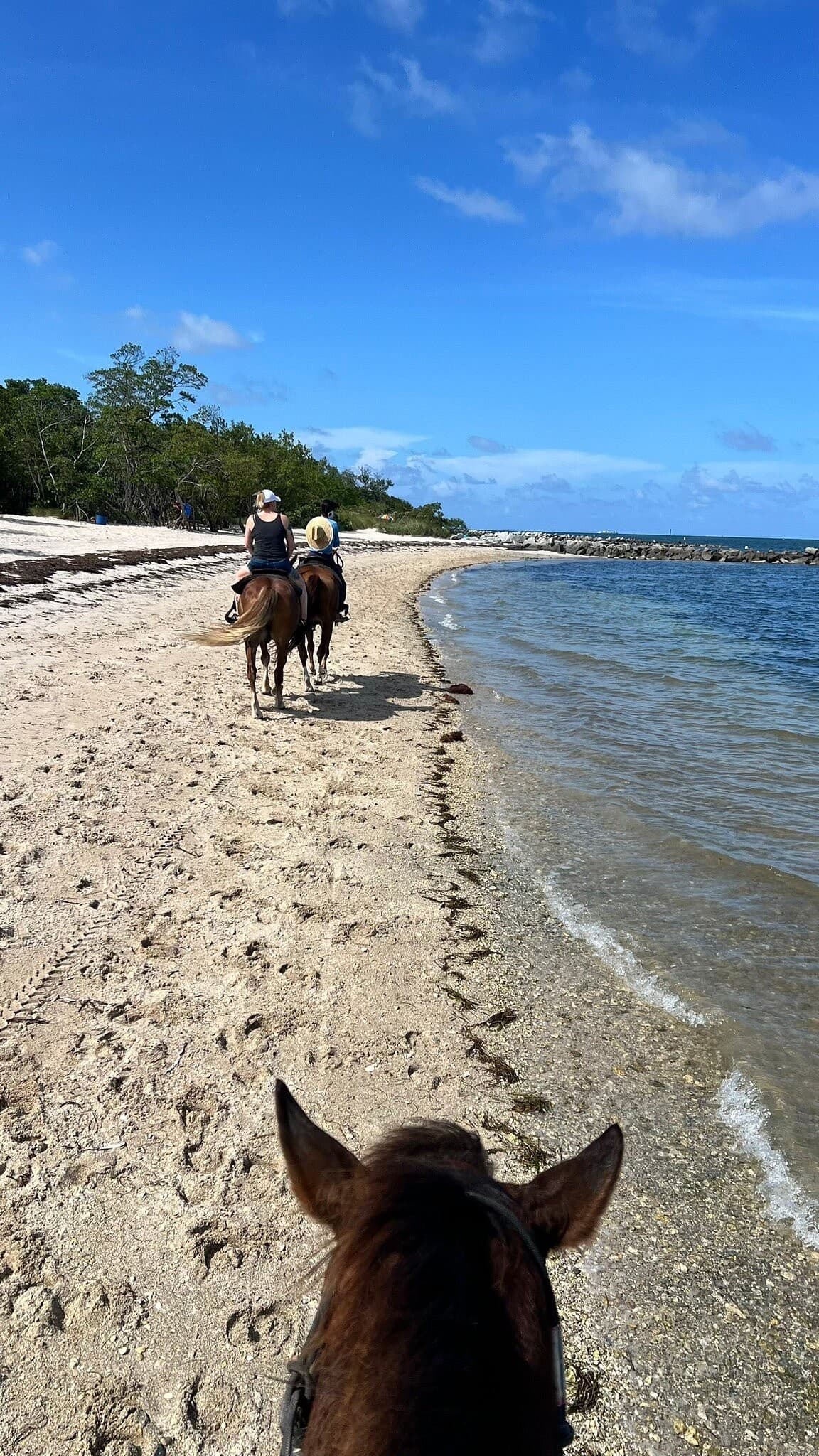Horseback riding at Palomino Ranch in Miami