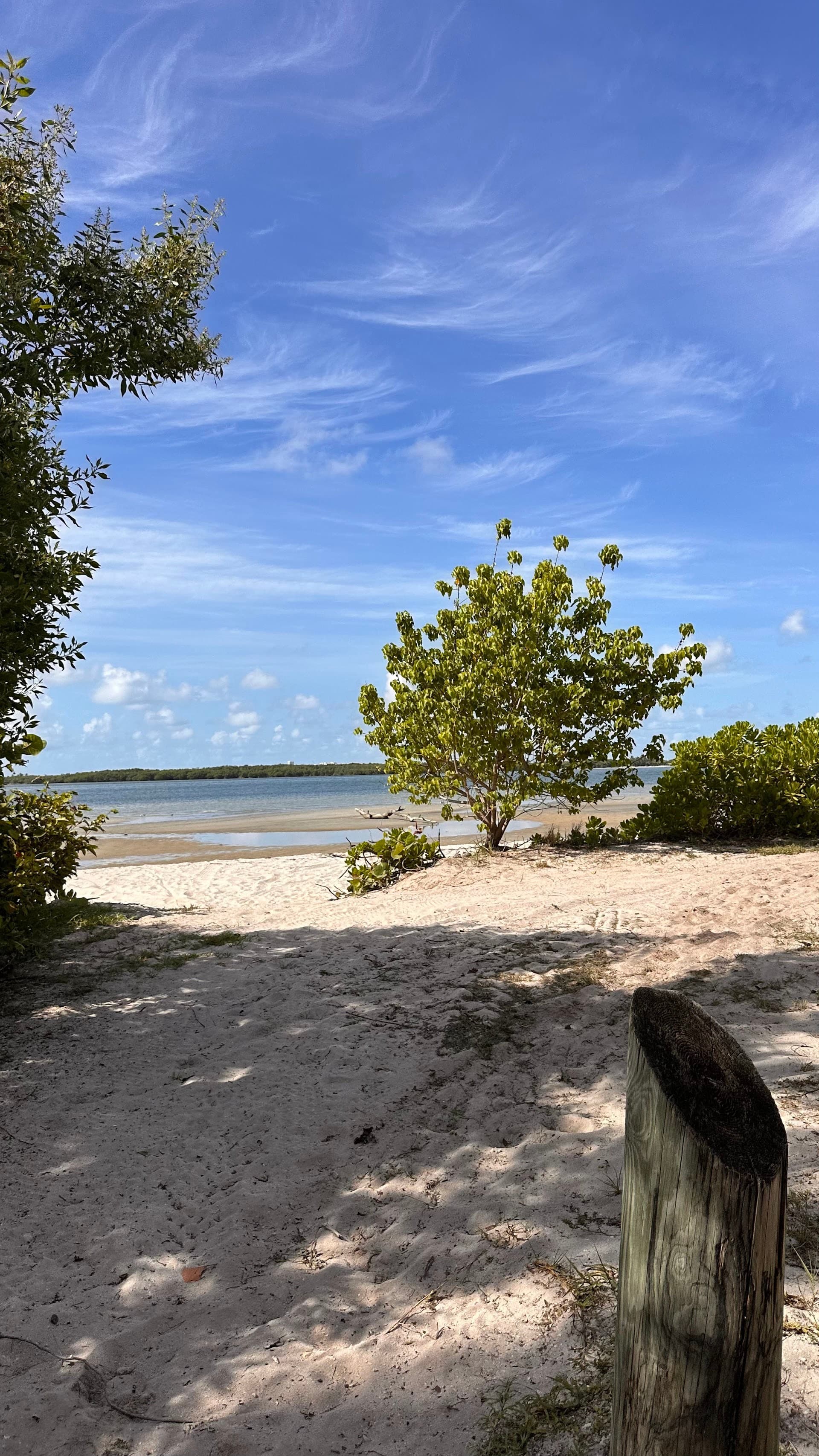 Scenic view at Palomino Ranch & Tours LLC in Miami