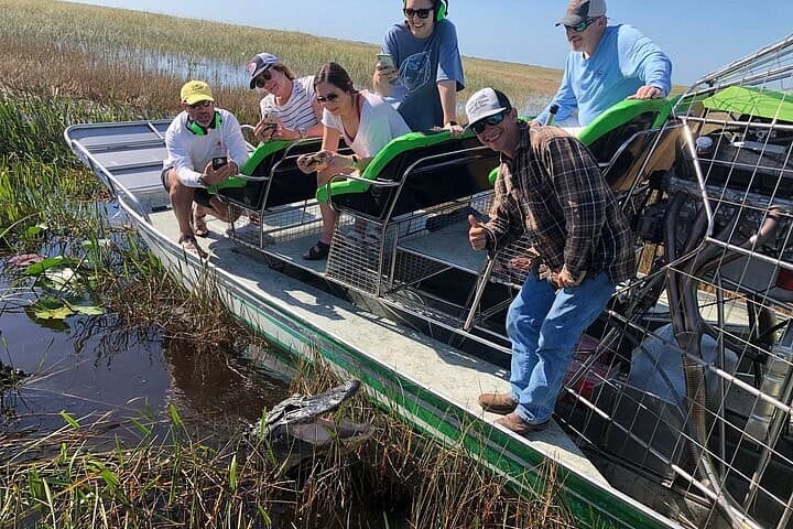 Alligator sighting at Palomino Ranch & Tours LLC in Miami