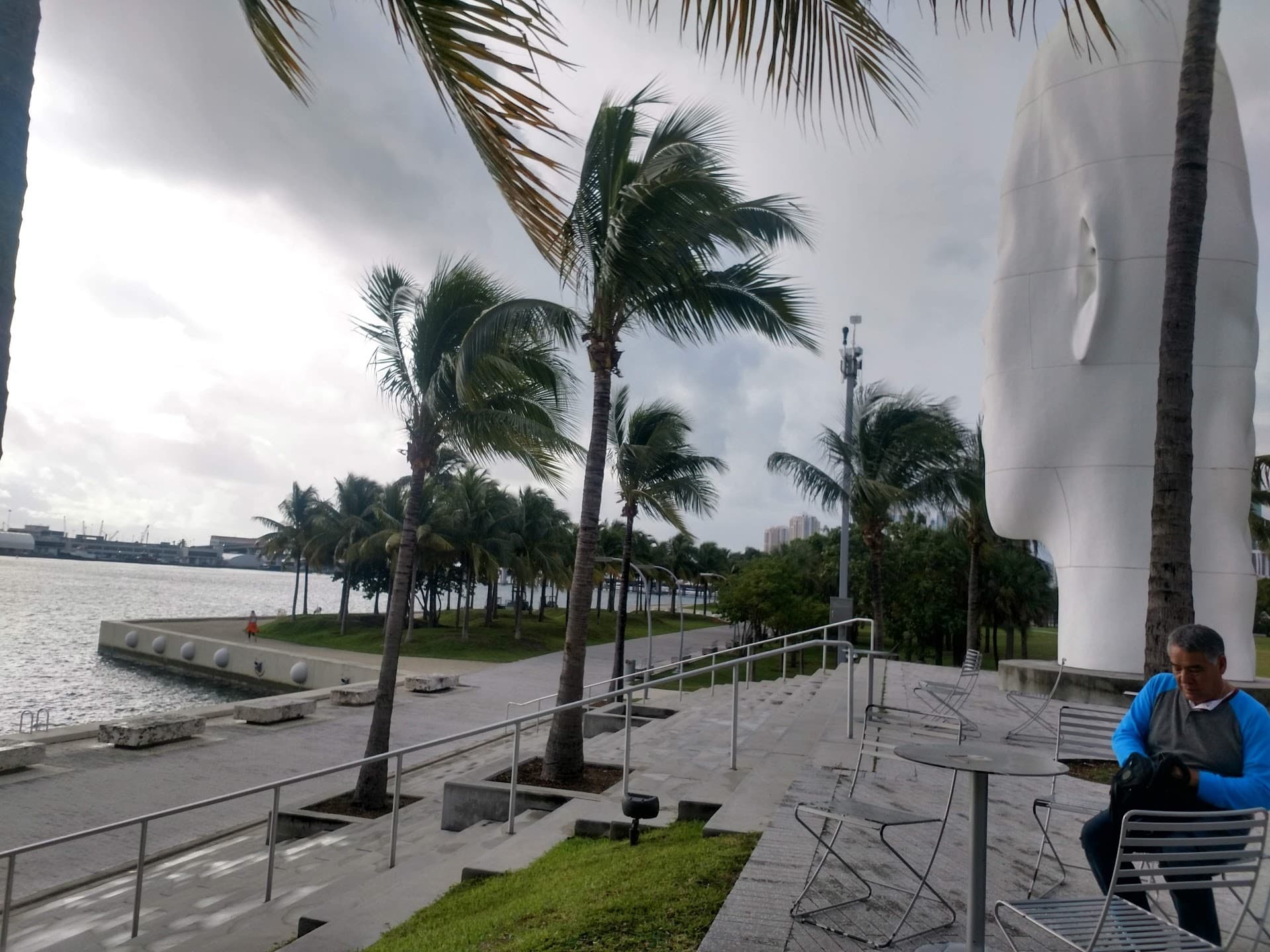 Pérez Art Museum Miami exterior view with palm trees