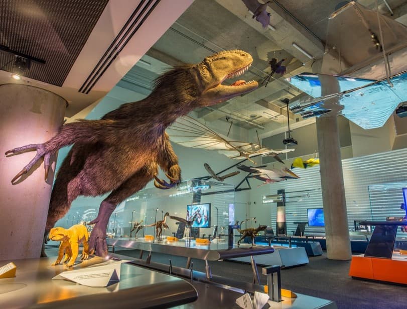 Interactive display at Phillip & Patricia Frost Museum of Science in Miami