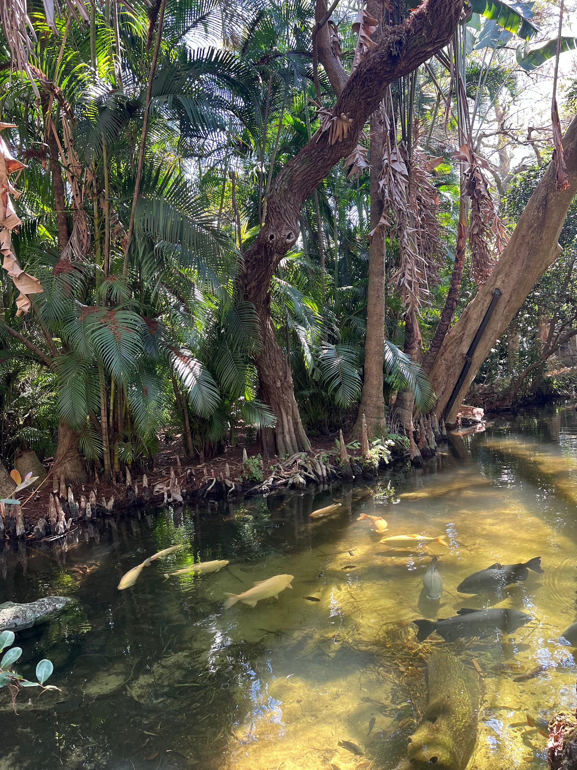 Pinecrest Gardens serene water view in Miami