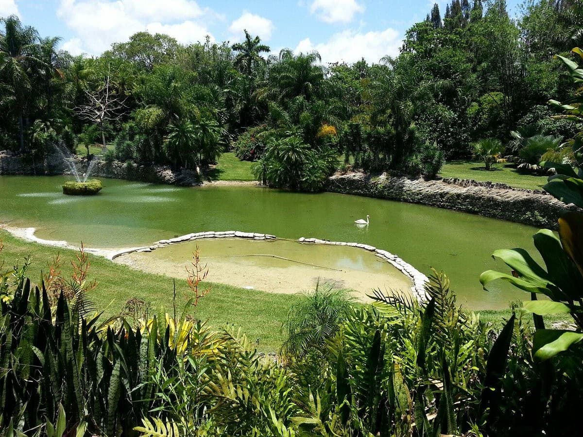 Pinecrest Gardens beautiful landscape in Miami