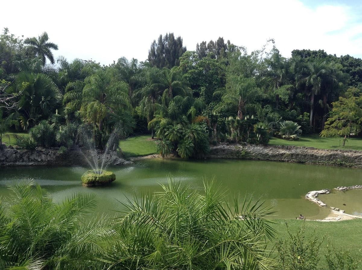 View of Pinecrest Gardens green landscape in Miami