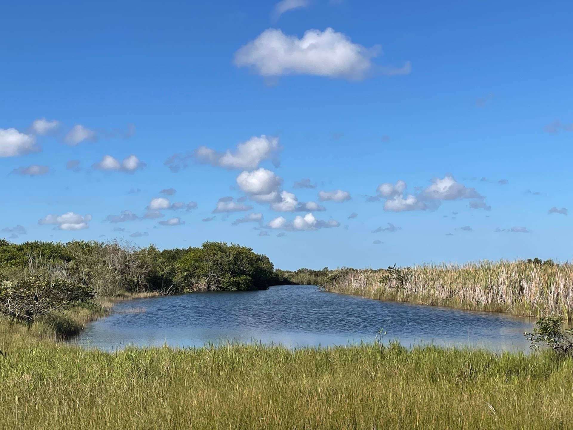 Scenic view at Shark Valley Visitor Center in Miami