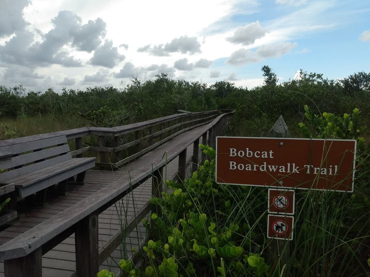 Bobcat Boardwalk Trail at Shark Valley Visitor Center, Miami