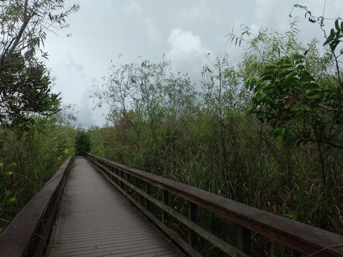 Scenic view of Shark Valley Visitor Center in Miami