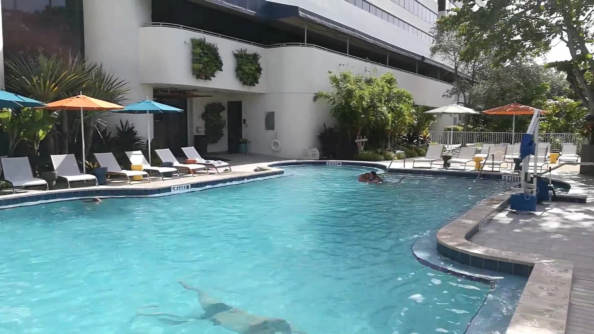 Sheraton Miami Airport Hotel pool area