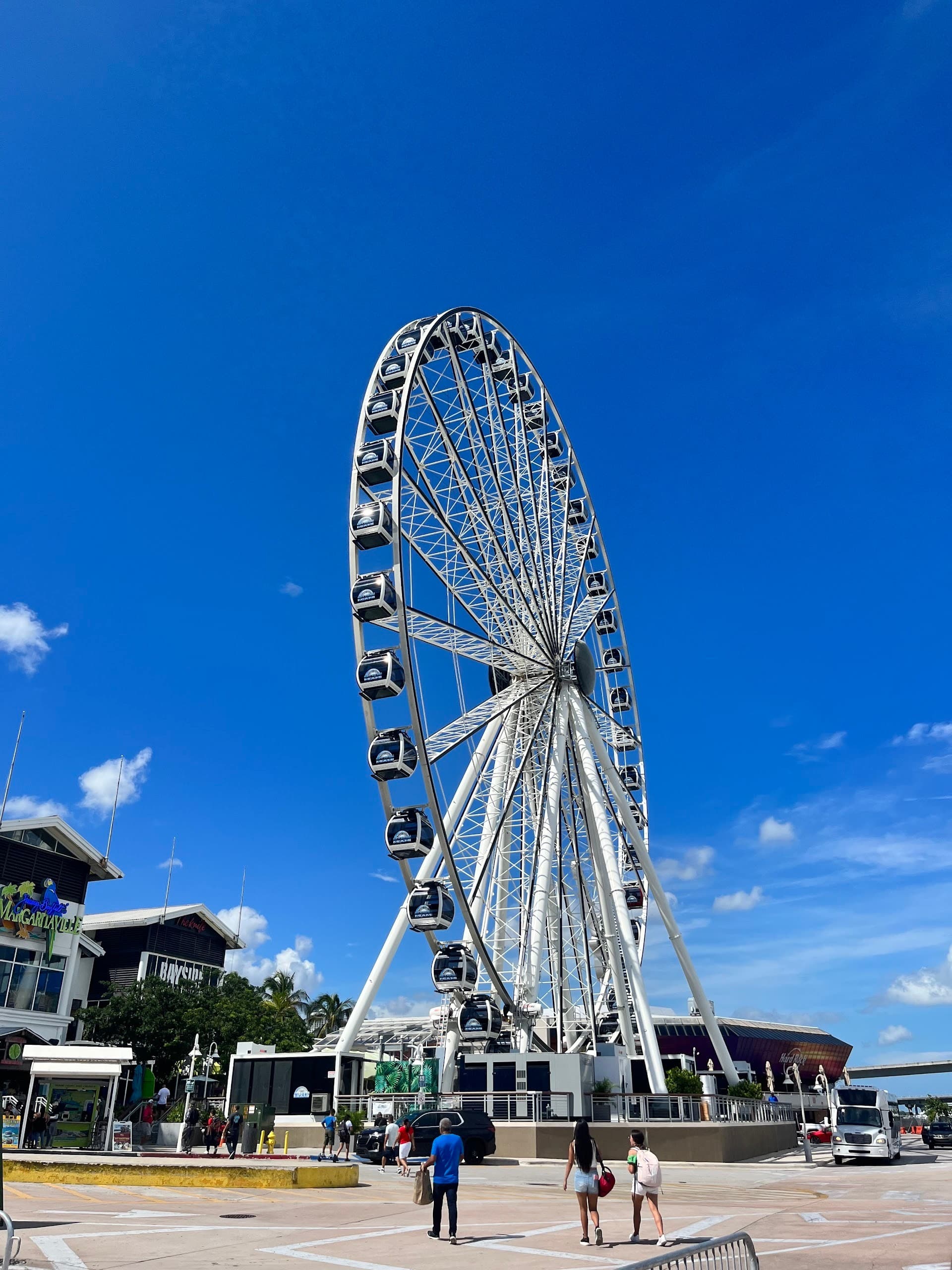 Skyviews Miami Observation Wheel in Miami's clear sky