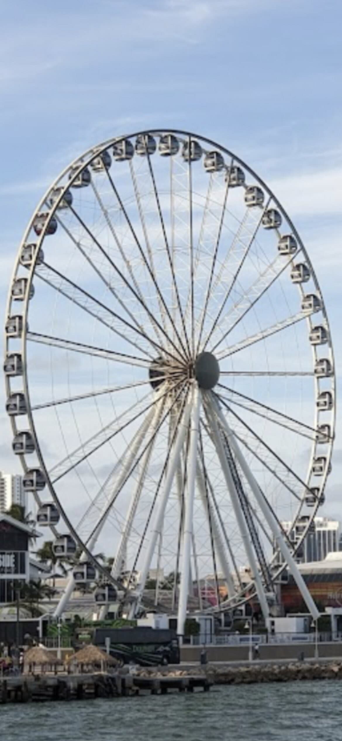 Skyviews Miami Observation Wheel in Miami skyline