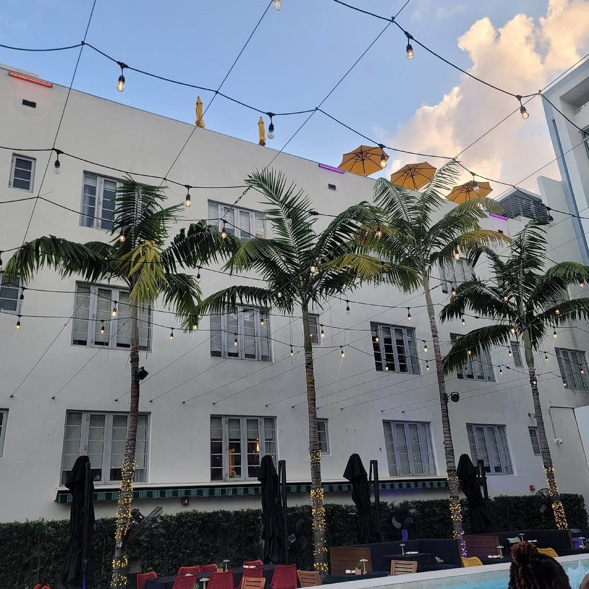Sola Miami Beach exterior view with palm trees