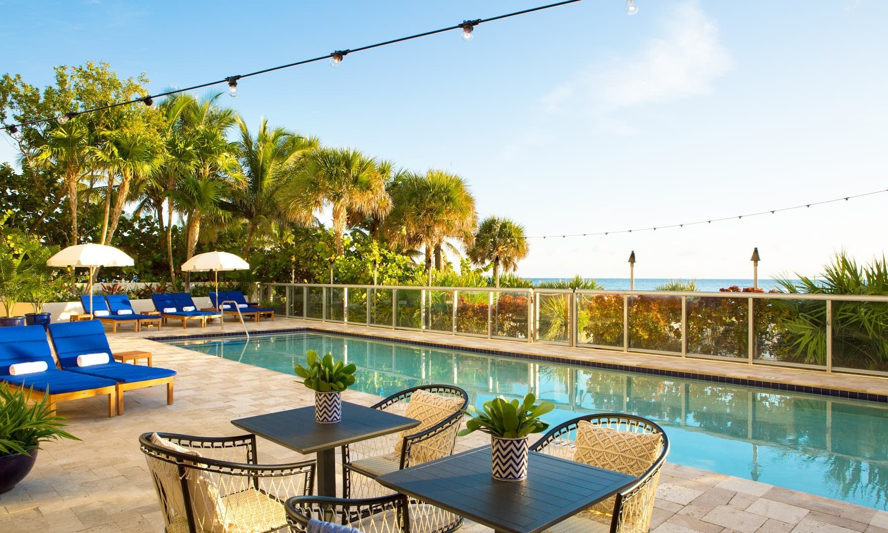 Solé Miami pool area with lounge chairs and palm trees