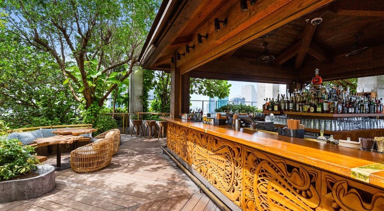 Sugar bar in Miami with lush greenery